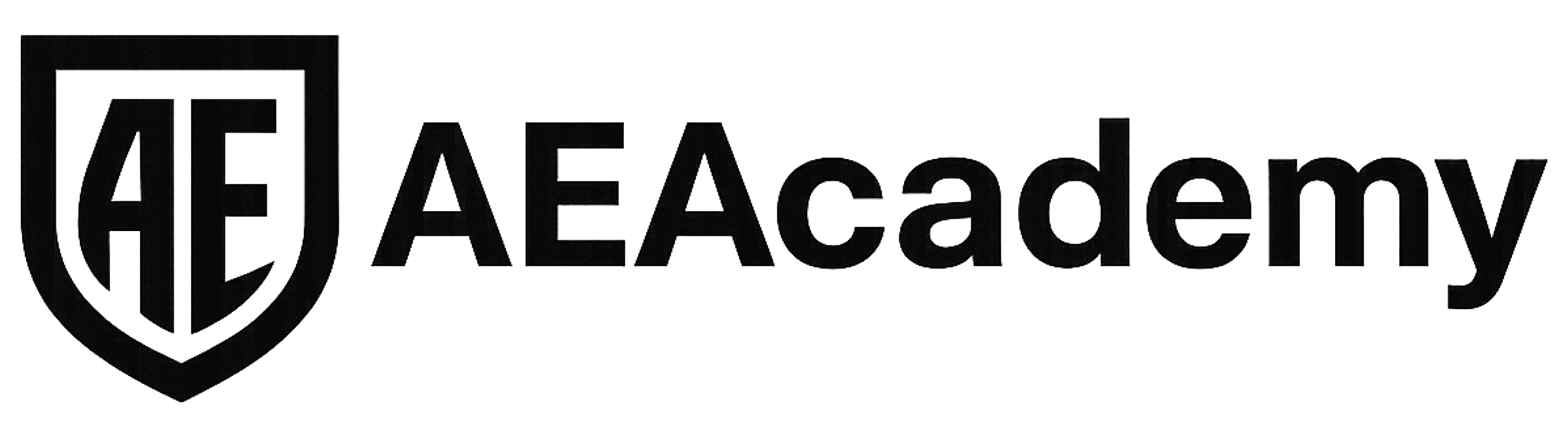 AEAcademy logo